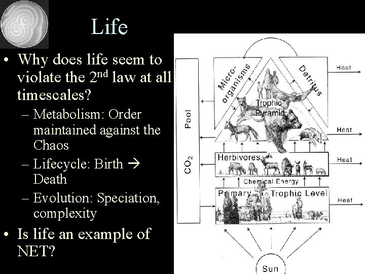 Life • Why does life seem to violate the 2 nd law at all