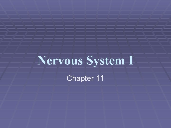 Nervous System I Chapter 11 