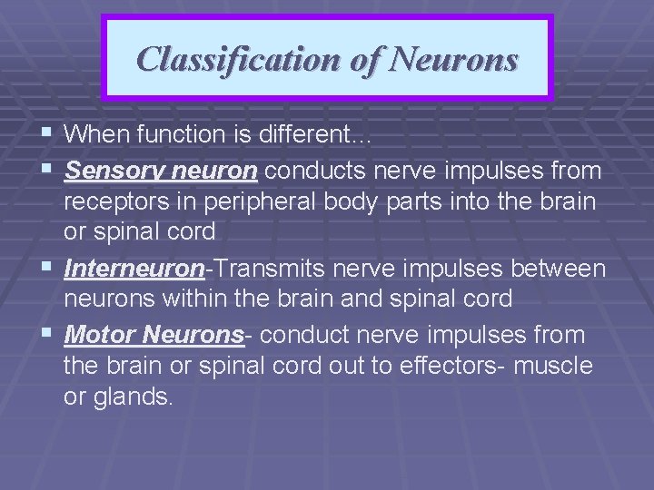 Classification of Neurons § When function is different… § Sensory neuron conducts nerve impulses