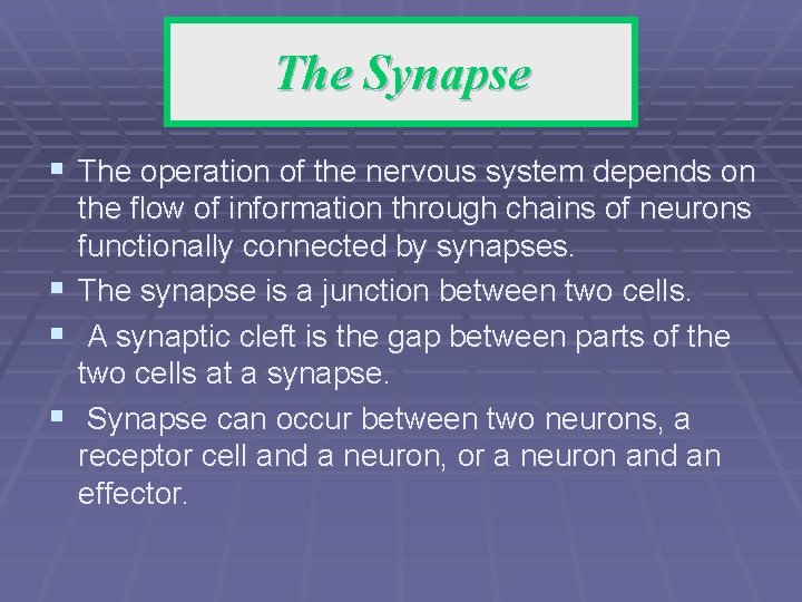 The Synapse § The operation of the nervous system depends on the flow of