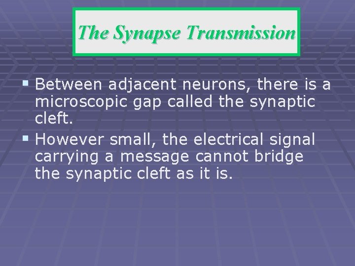 The Synapse Transmission § Between adjacent neurons, there is a microscopic gap called the