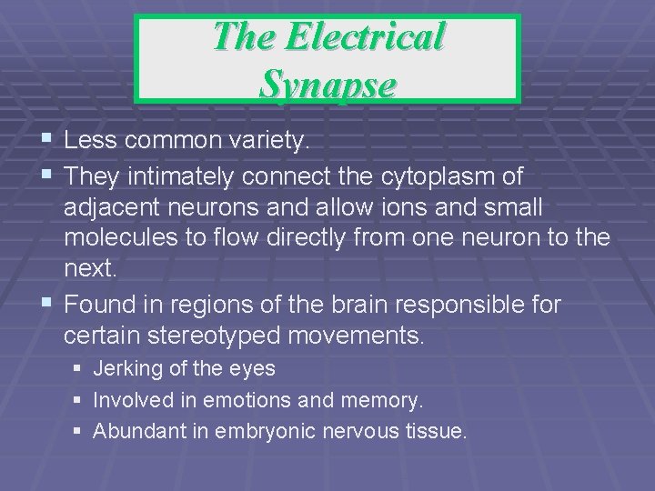 The Electrical Synapse § Less common variety. § They intimately connect the cytoplasm of