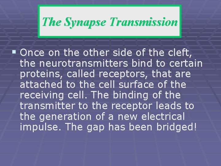 The Synapse Transmission § Once on the other side of the cleft, the neurotransmitters