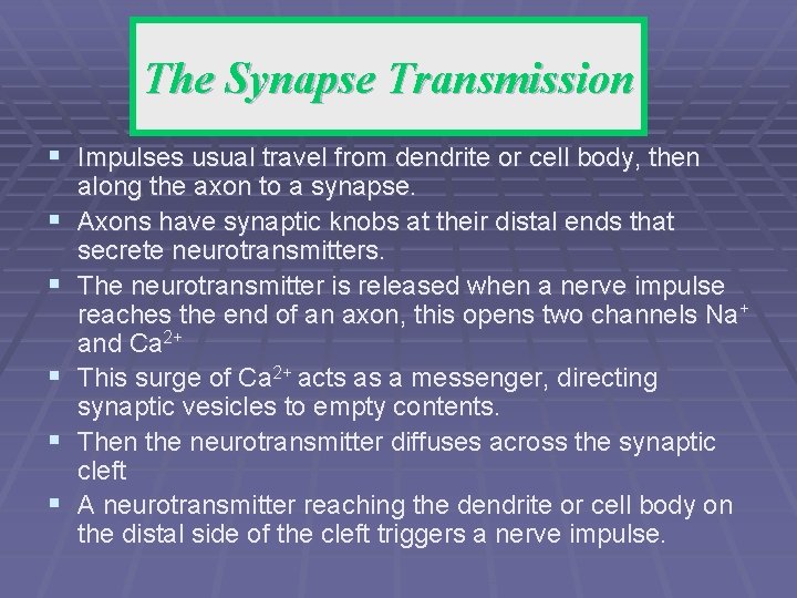 Synapse Transmission The Synapse Transmission § Impulses usual travel from dendrite or cell body,