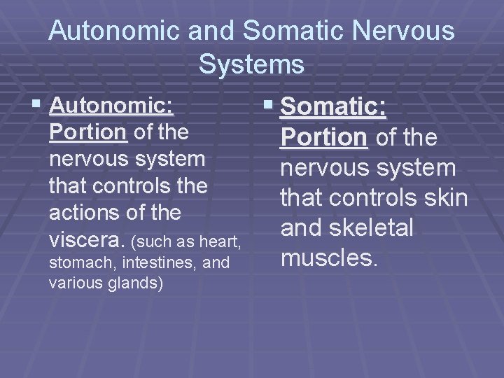 Autonomic and Somatic Nervous Systems § Autonomic: § Somatic: Portion of the nervous system