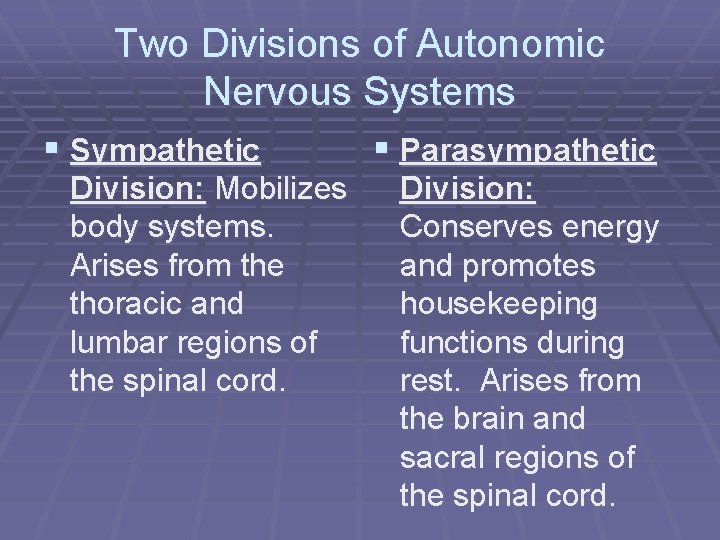 Two Divisions of Autonomic Nervous Systems § Sympathetic Division: Mobilizes body systems. Arises from