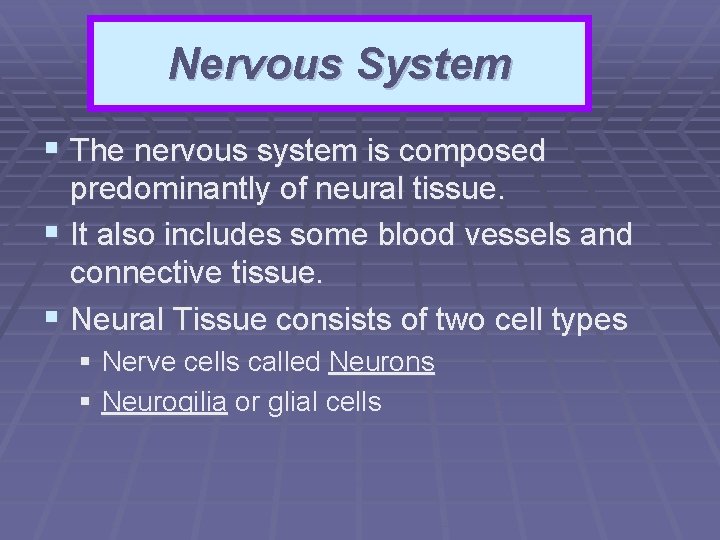 Nervous System § The nervous system is composed predominantly of neural tissue. § It