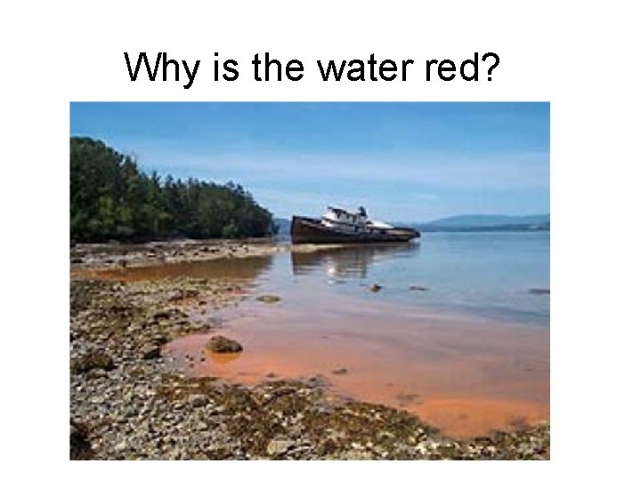Why is the water red? 
