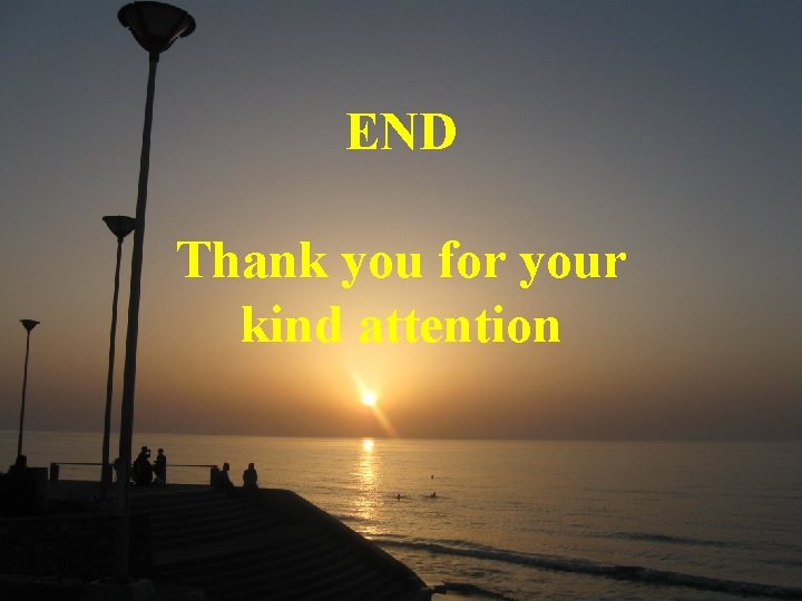 END Thank you for your kind attention 