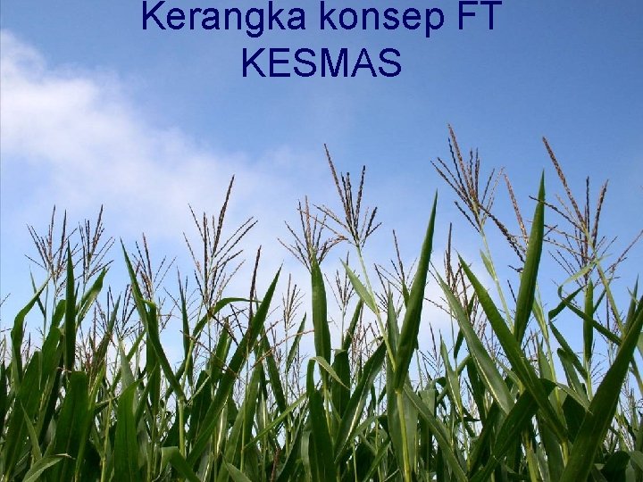 Kerangka konsep FT KESMAS 