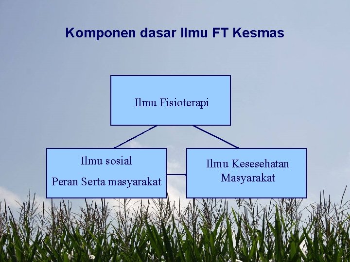 Komponen dasar Ilmu FT Kesmas Ilmu Fisioterapi Ilmu sosial Peran Serta masyarakat Ilmu Kesesehatan