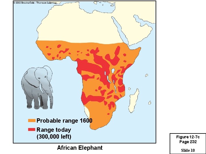 Probable range 1600 Range today (300, 000 left) African Elephant Figure 12 -7 c