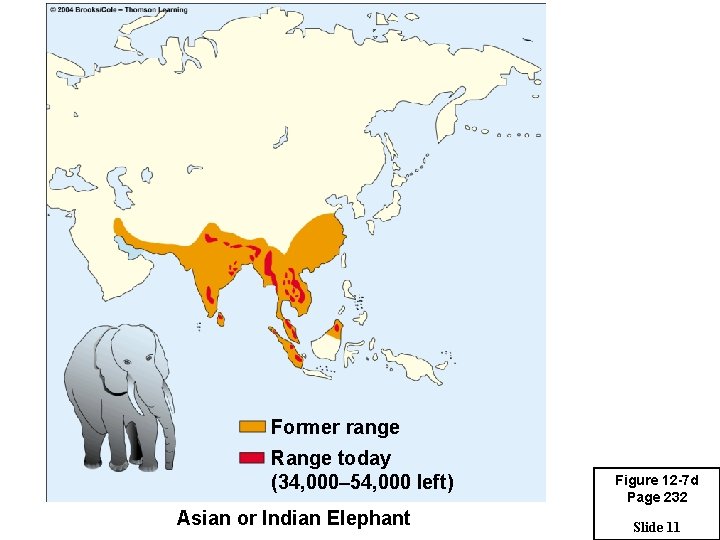 Former range Range today (34, 000– 54, 000 left) Asian or Indian Elephant Figure