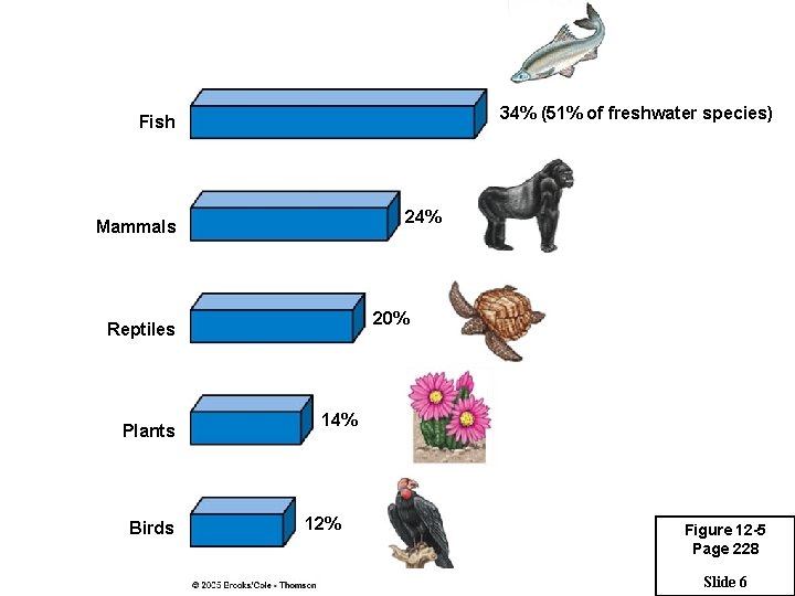 34% (51% of freshwater species) Fish 24% Mammals 20% Reptiles Plants Birds 14% 12%