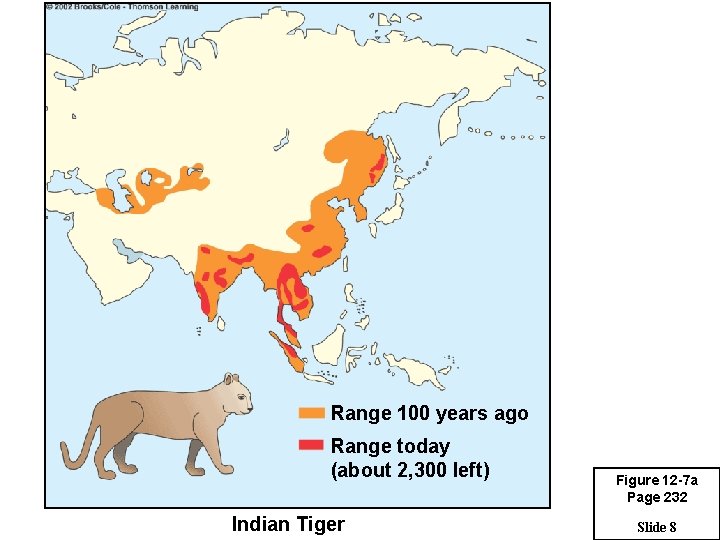 Range 100 years ago Range today (about 2, 300 left) Indian Tiger Figure 12