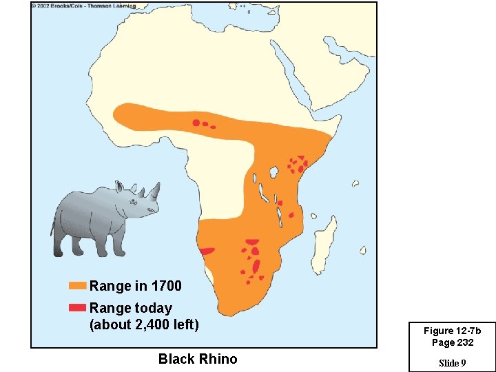 Range in 1700 Range today (about 2, 400 left) Black Rhino Figure 12 -7