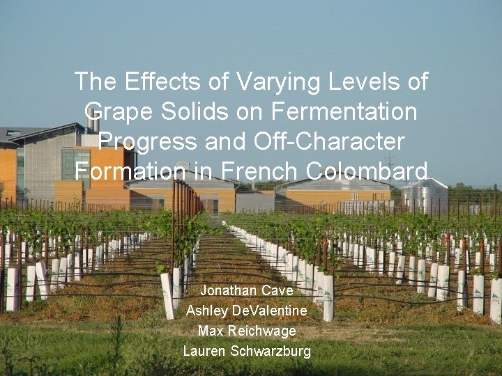 The Effects of Varying Levels of Grape Solids on Fermentation Progress and Off-Character Formation