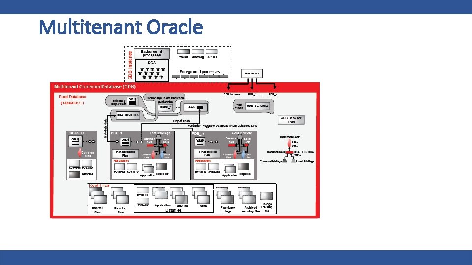 Multitenant Oracle 12 | 