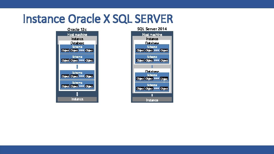 Instance Oracle X SQL SERVER Oracle 12 c SQL Server 2014 Host machine Instance