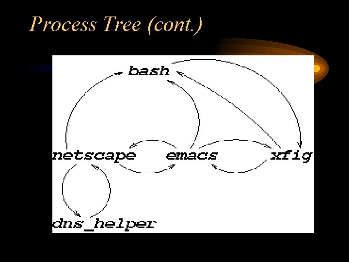 Process Tree (cont. ) 