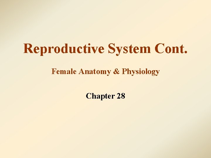 Reproductive System Cont. Female Anatomy & Physiology Chapter 28 