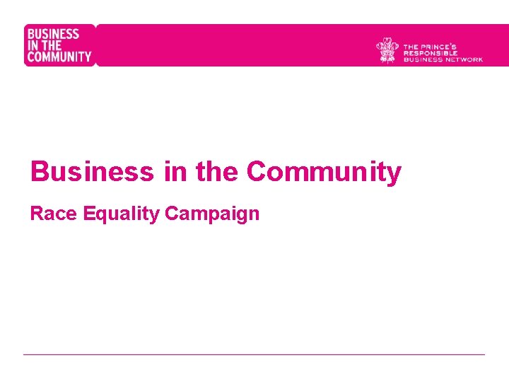 Business in the Community Race Equality Campaign 