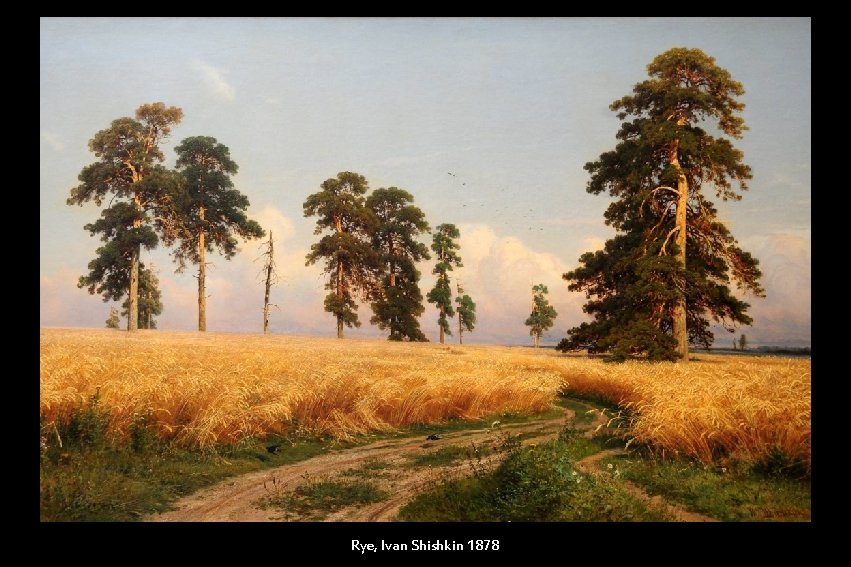 Rye, Ivan Shishkin 1878 