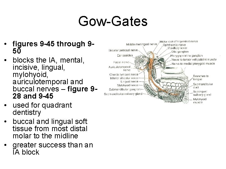 Gow-Gates • figures 9 -45 through 950 • blocks the IA, mental, incisive, lingual,
