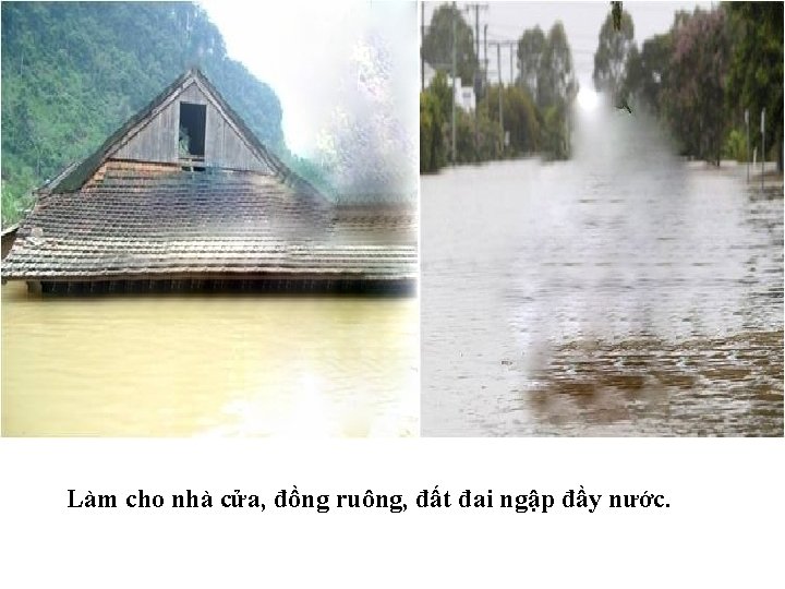 Làm cho nhà cửa, đồng ruông, đất đai ngập đầy nước. 