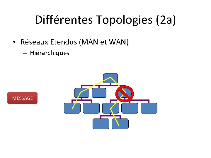 Différentes Topologies (2 a) • Réseaux Etendus (MAN et WAN) – Hiérarchiques MESSAGE 