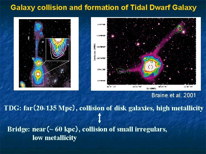 Galaxy collision and formation of Tidal Dwarf Galaxy Braine et al. 2001 TDG: far（20