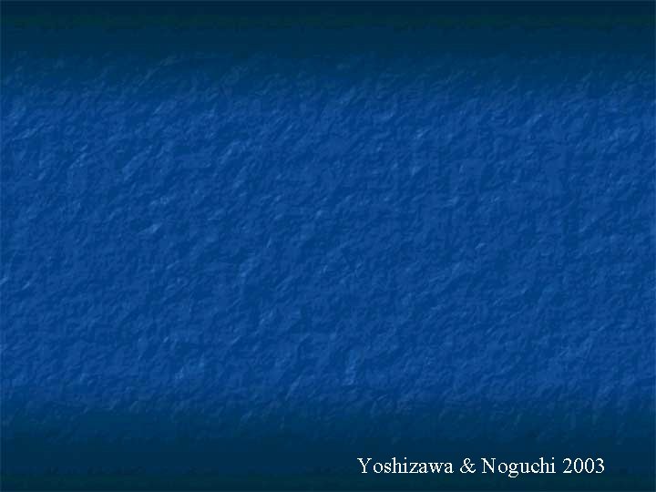 Yoshizawa & Noguchi 2003 