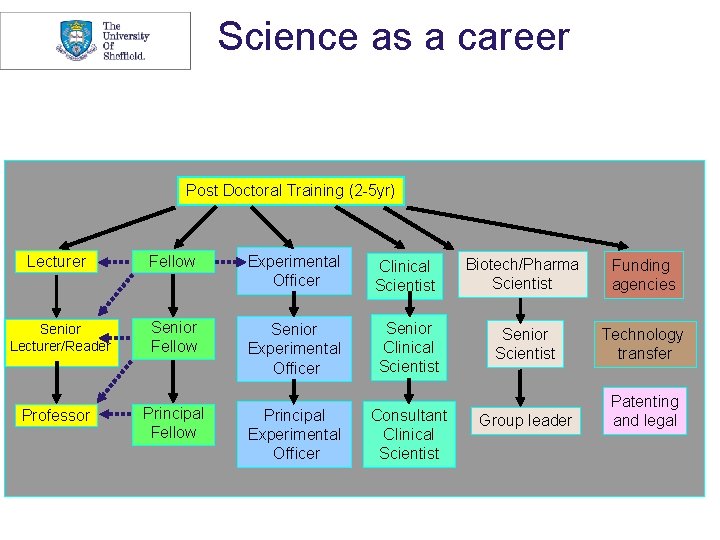 Science as a career Post Doctoral Training (2 -5 yr) Lecturer Fellow Experimental Officer Science as a career Post Doctoral Training (2 -5 yr) Lecturer Fellow Experimental Officer