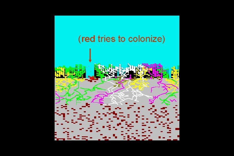 (red tries to colonize) 