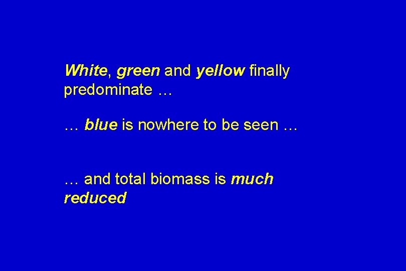 White, green and yellow finally predominate … … blue is nowhere to be seen
