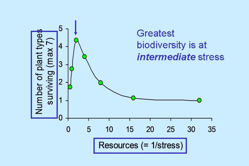 Greatest biodiversity is at intermediate stress 