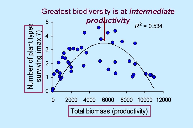 Greatest biodiversity is at intermediate productivity 