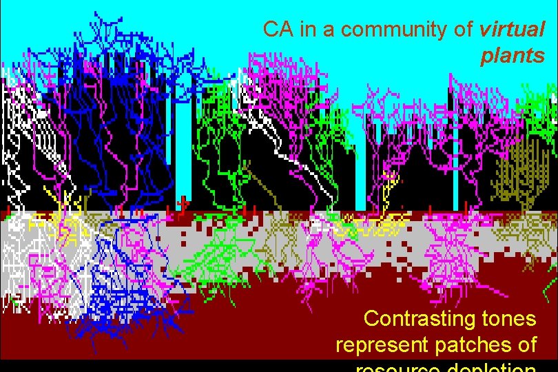 CA in a community of virtual plants Contrasting tones represent patches of 