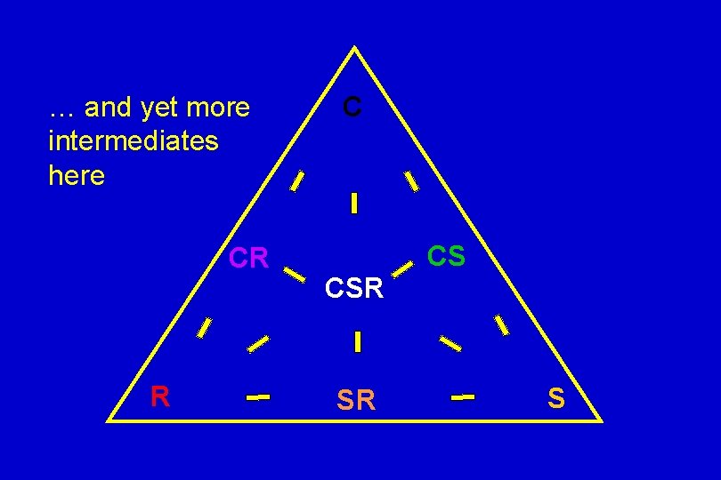 … and yet more intermediates here CR R C CS CSR SR S 