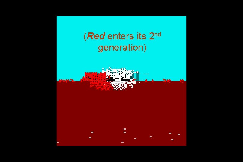 (Red enters its 2 nd generation) 