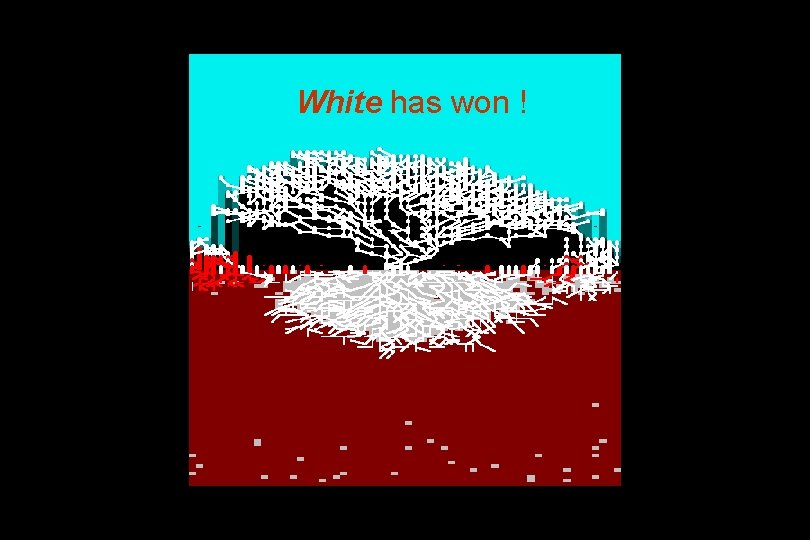 White has won ! 