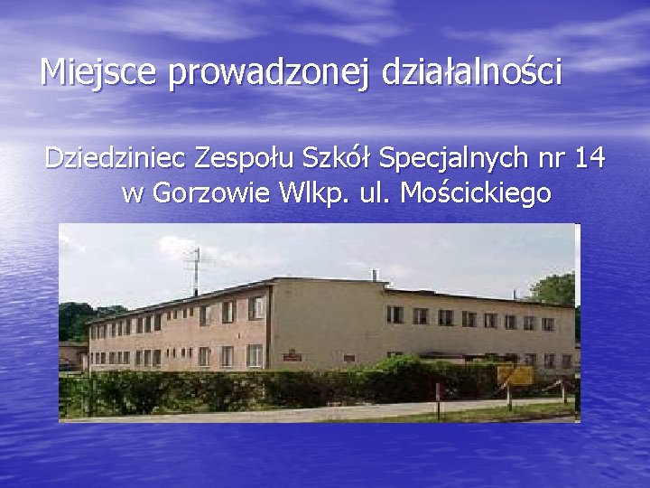Miejsce prowadzonej działalności Dziedziniec Zespołu Szkół Specjalnych nr 14 w Gorzowie Wlkp. ul. Mościckiego