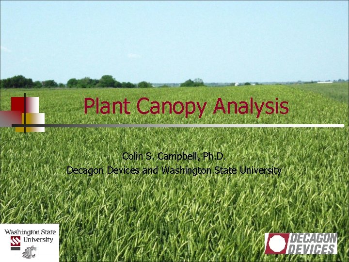 Plant Canopy Analysis Colin S. Campbell, Ph. D. Decagon Devices and Washington State University