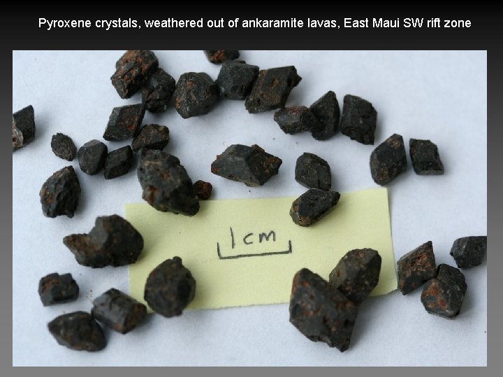 Pyroxene crystals, weathered out of ankaramite lavas, East Maui SW rift zone 