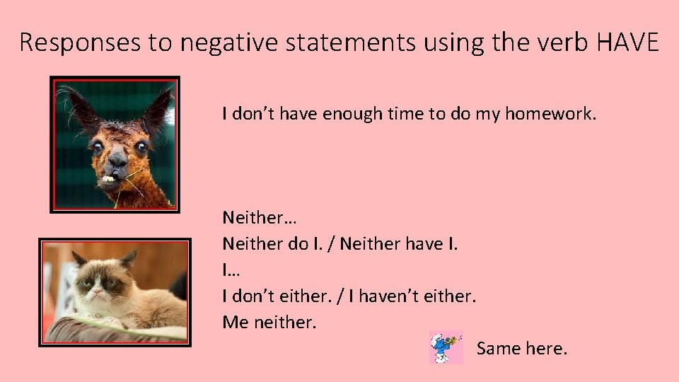 Responses to negative statements using the verb HAVE I don’t have enough time to