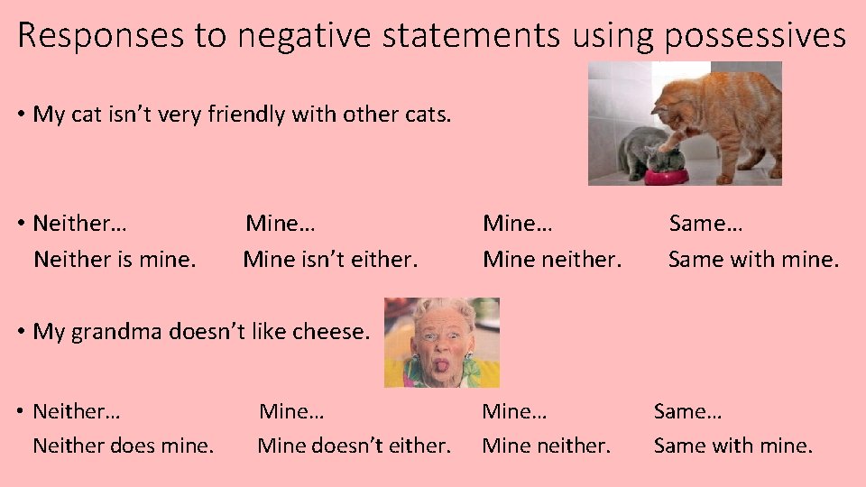 Responses to negative statements using possessives • My cat isn’t very friendly with other