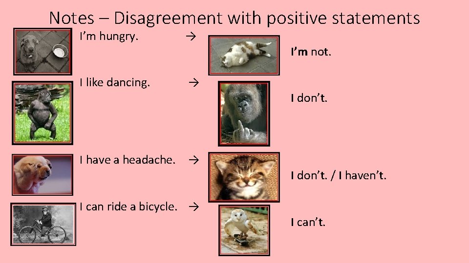 Notes – Disagreement with positive statements I’m hungry. → I’m not. I like dancing.