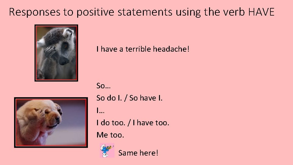 Responses to positive statements using the verb HAVE I have a terrible headache! So…