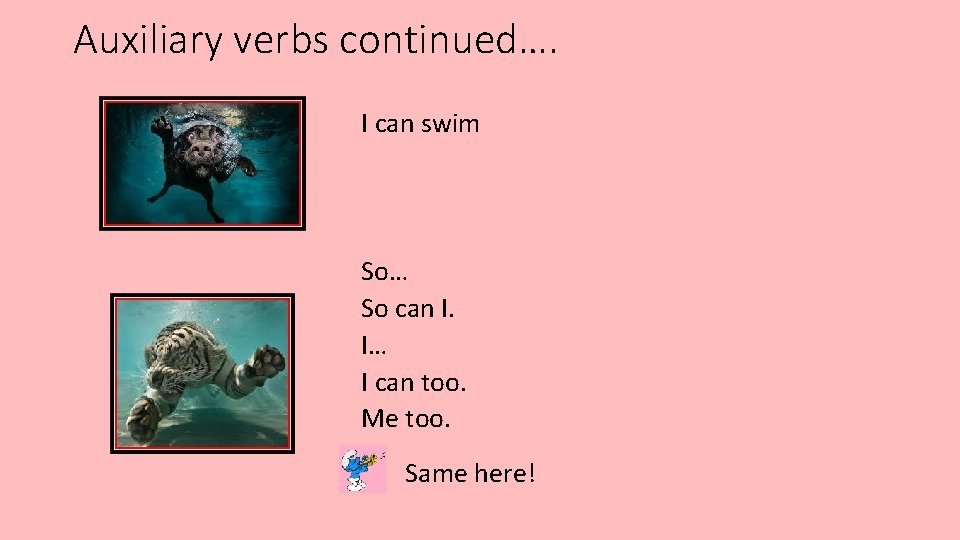 Auxiliary verbs continued…. I can swim So… So can I. I… I can too.