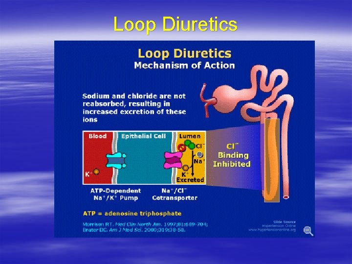 Loop Diuretics 